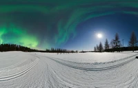 Faszinierende Aurora über einer schneebedeckten arktischen Landschaft