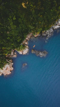 Tranquil Lake Surrounded by Verdant Terrain