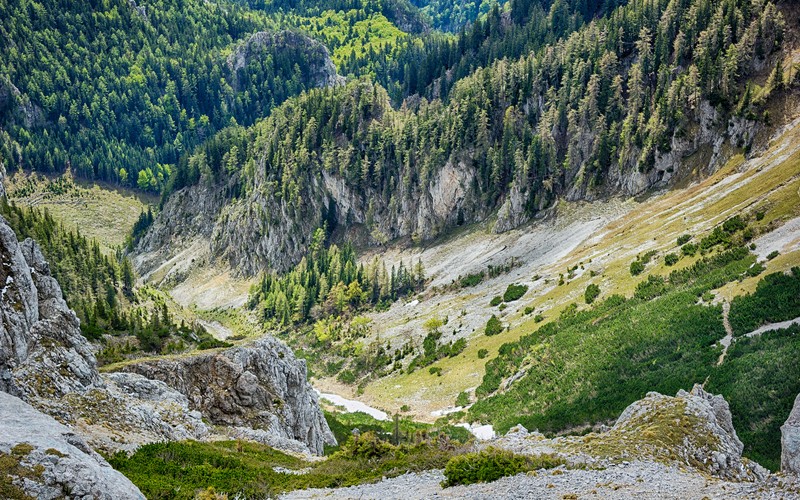 На лошади спускается человек с крутого холма. (дикая природа, песня, растение, растительное сообщество, гора)