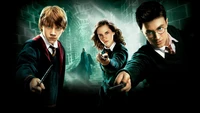 Harry Potter, Hermione Granger et Ron Weasley prêts pour la bataille dans 'L'Ordre du Phénix