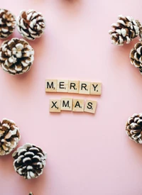 Merry Xmas Surrounded by Pine Cones on a Pastel Pink Background