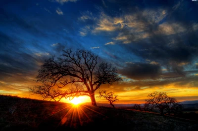 sunset, nature, cloud, afterglow, sunrise