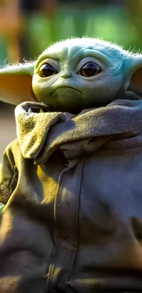 Close-up de uma escultura de Yoda, mostrando os intrincados detalhes dos olhos e das características faciais, misturando arte e biologia.