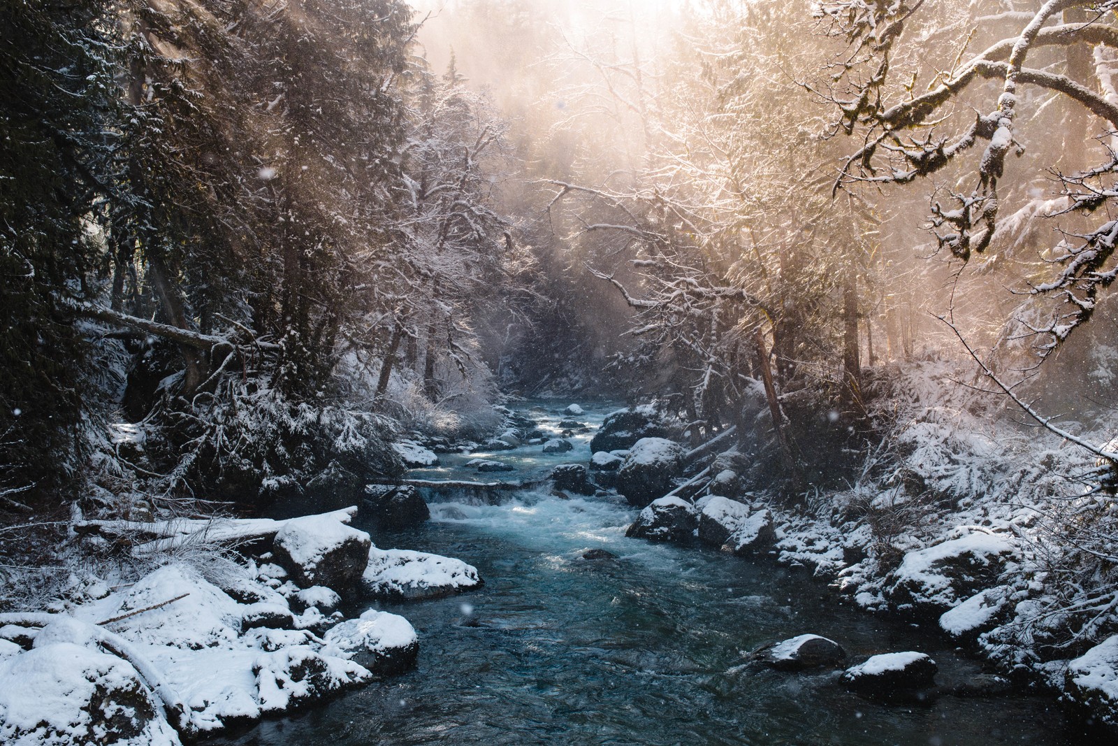 A view of a stream running through a forest covered in snow (snow, winter, river, nature, water)