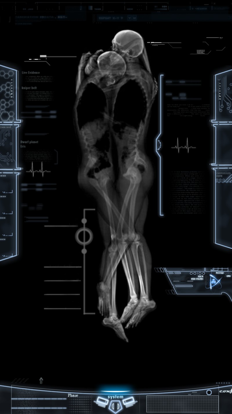 Арафед изображение скелета на экране компьютера с экраном компьютера (тёмный, радиация, синхротрон, рентген)