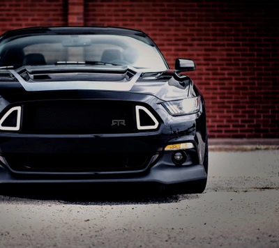 mustang, rtr