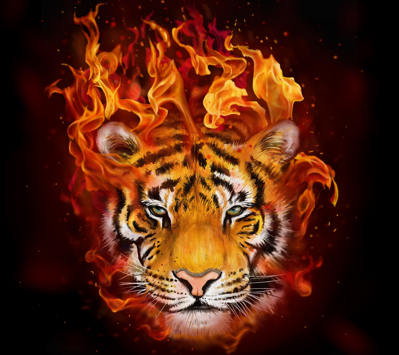 Un primer plano de un tigre con fuego en la cabeza (abstracto, animal, fondo, quemar, fuego)