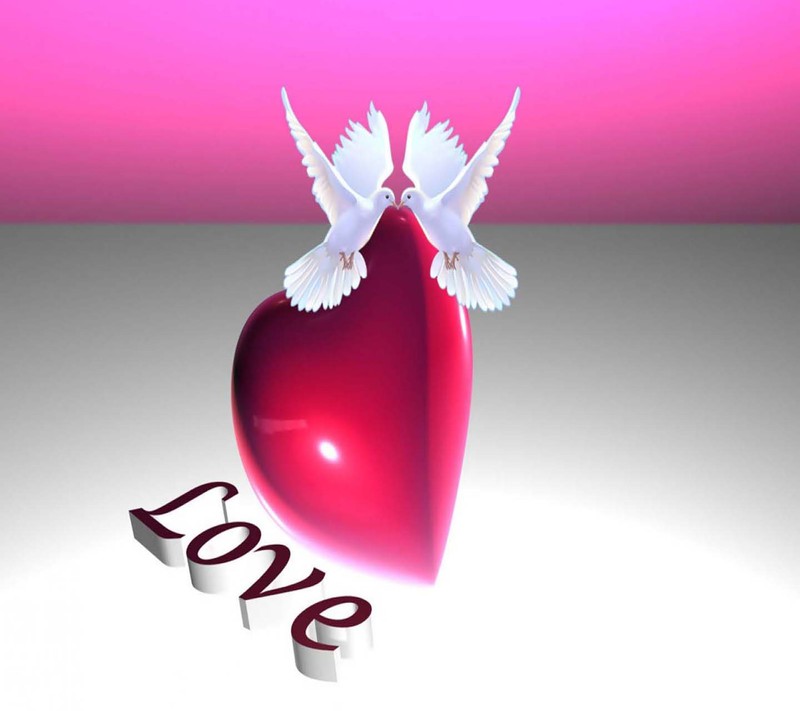 Arafed image of a heart with two white doves on it (cool, love)