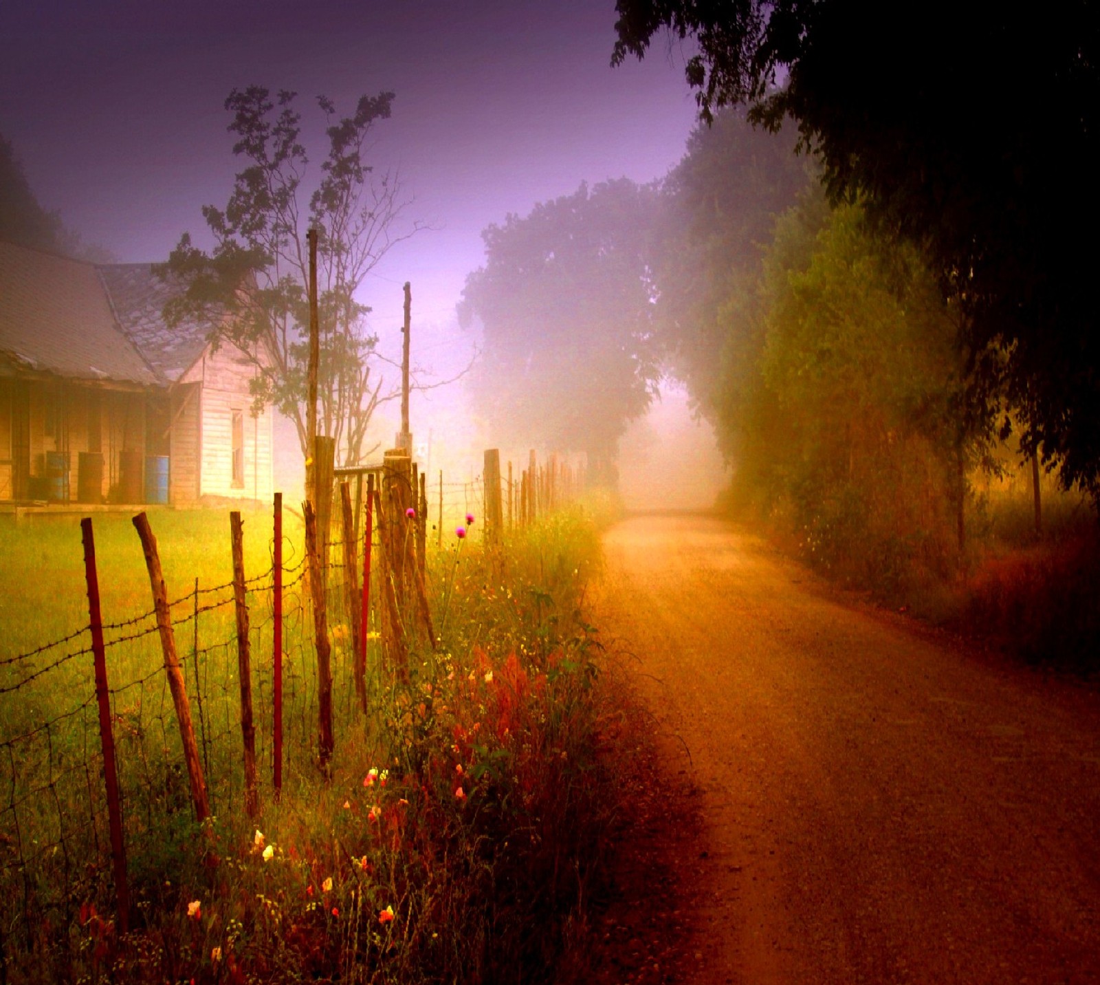 Lade natur Hintergrund herunter