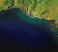 Aerial view of a coastal landscape with lush green hills meeting a deep blue ocean.