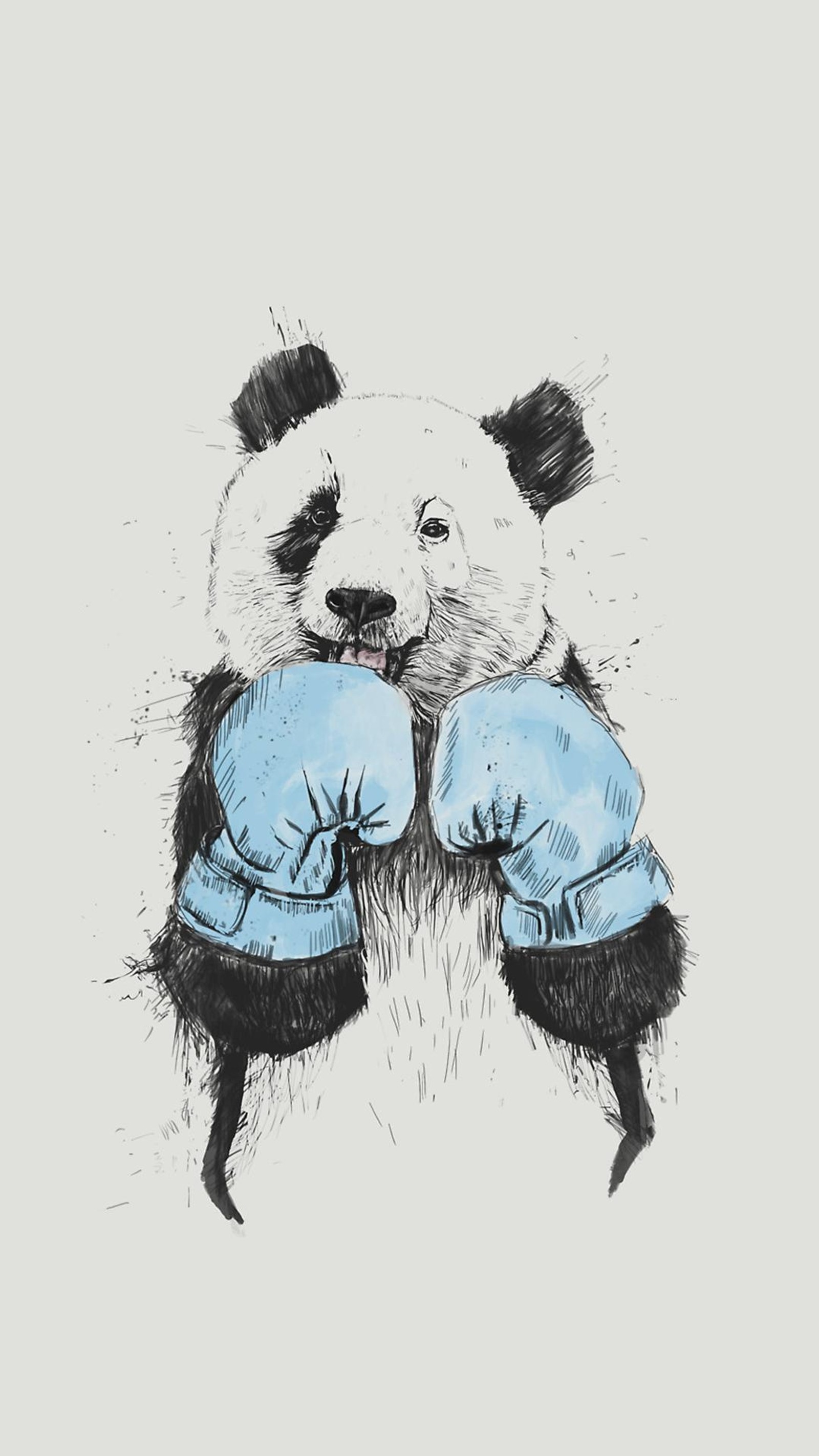 Descargar fondo de pantalla panda, oso, boxeo, osos, solo