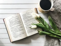 coffee, book, cafe, plant, cup wallpaper