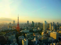 Tour de Tokyo : Monument emblématique au milieu d'un paysage urbain vibrant au coucher du soleil