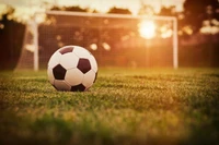 ball, soccer ball, football, grass, soccer wallpaper