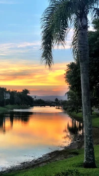 Reflexão de um lago tranquilo ao pôr do sol entre palmeiras exuberantes