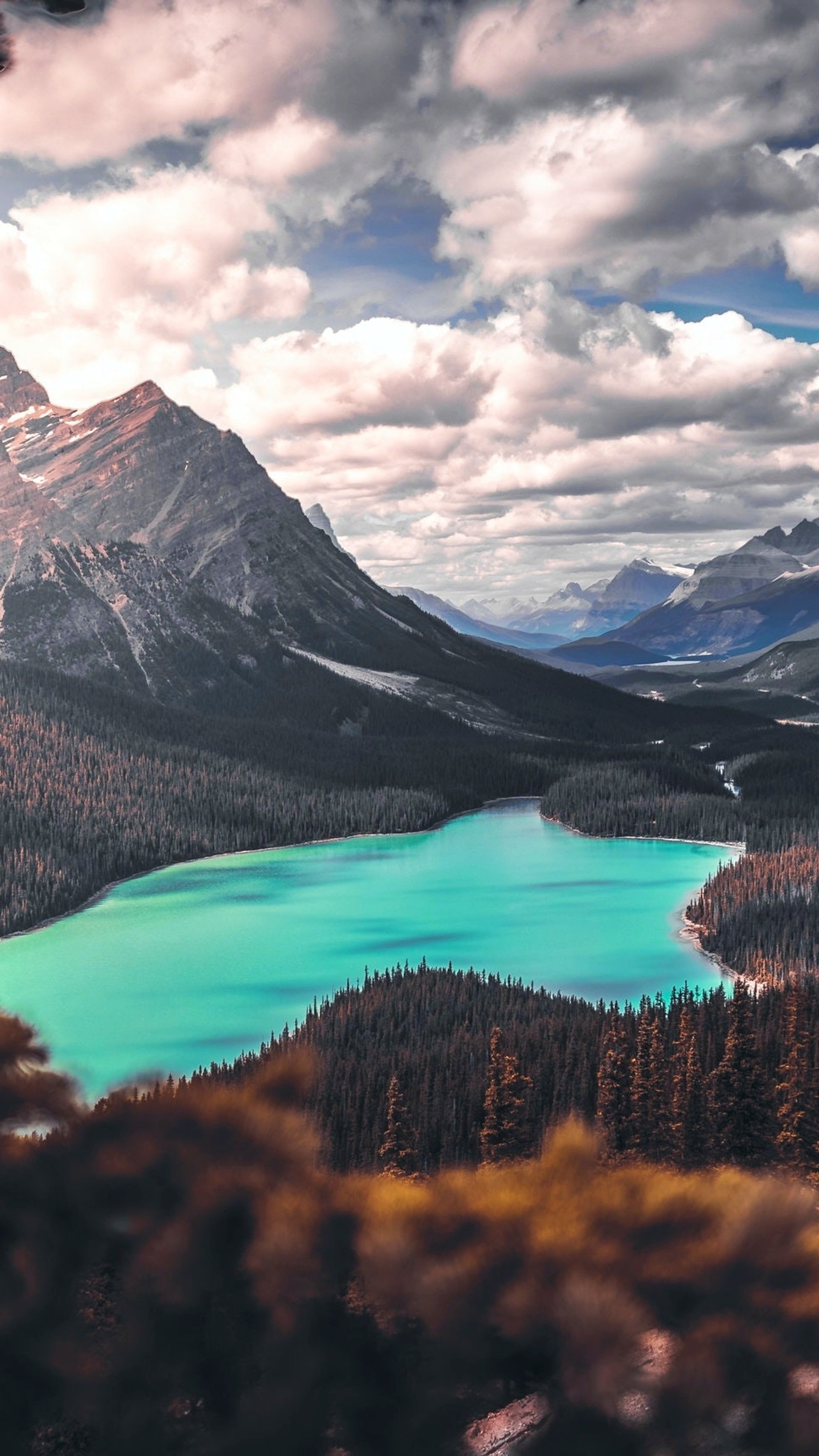 Hay un lago en medio de una montaña con algunos árboles (parque nacional de banff, banff national park, banff, lago peyto, lago moraine)