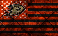 Graphic Design of a Distressed American Flag with NHL Team Logo