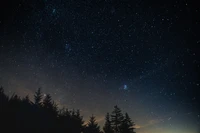 Céu noturno estrelado acima de árvores silhuetadas