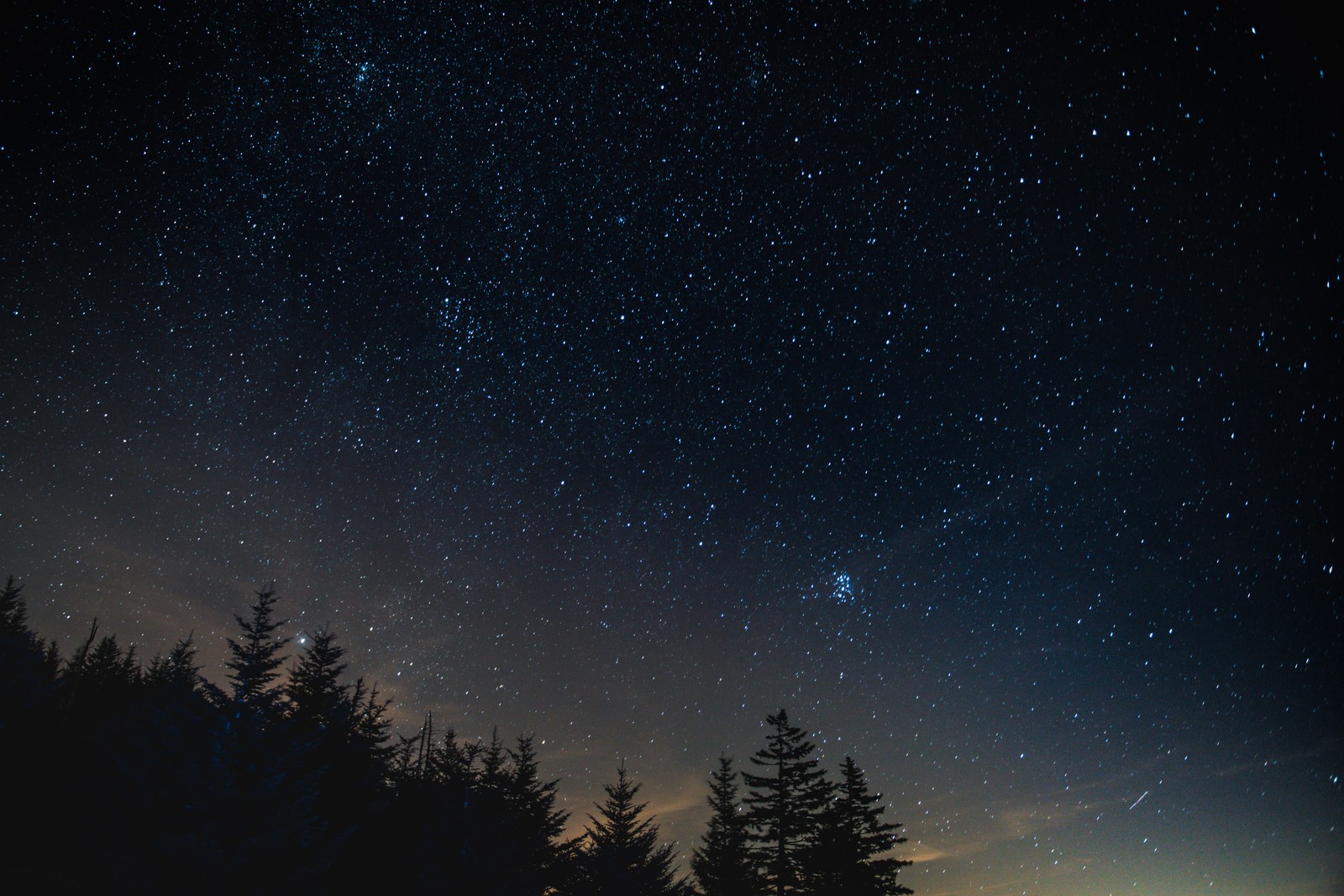 Uma vista de um céu noturno com algumas estrelas acima das árvores (noite, árvore, natureza, atmosfera, estrela)