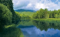 Tranquil Lake Reflection Amidst Lush Wilderness