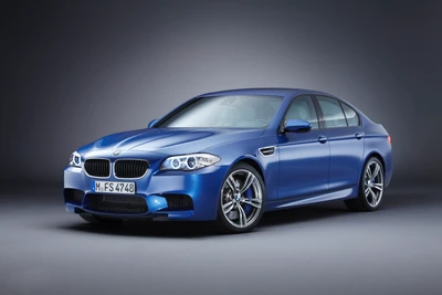 BMW Série 5 F10 : Une magnifique berline sportive de luxe personnelle en bleu