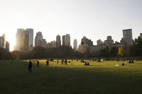 Central Park : Oasis urbaine au coucher du soleil avec vue sur la skyline