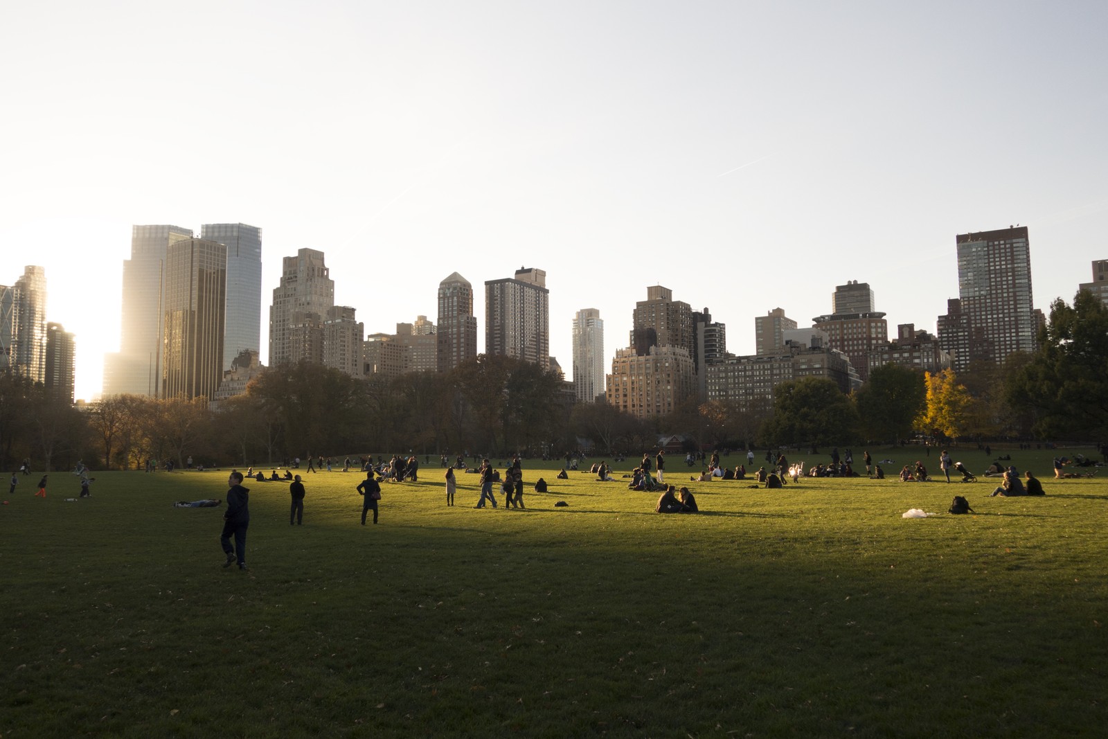 Des gens assis et debout dans un parc avec une ville en arrière-plan (central park, ville, journée, horizon, zone urbaine)