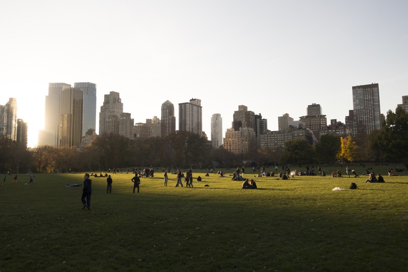 Люди сидят и стоят в парке с городом на фоне (центральный парк, central park, город, дневное время, горизонт)