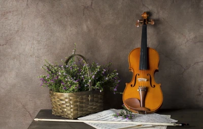 violon, instrument à cordes, famille des violons, instrument de musique, violone