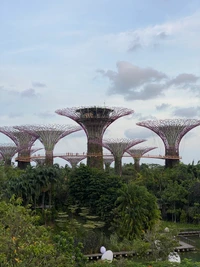 singapura, jardins da baía, marina bay sands singapura, parque, jardim