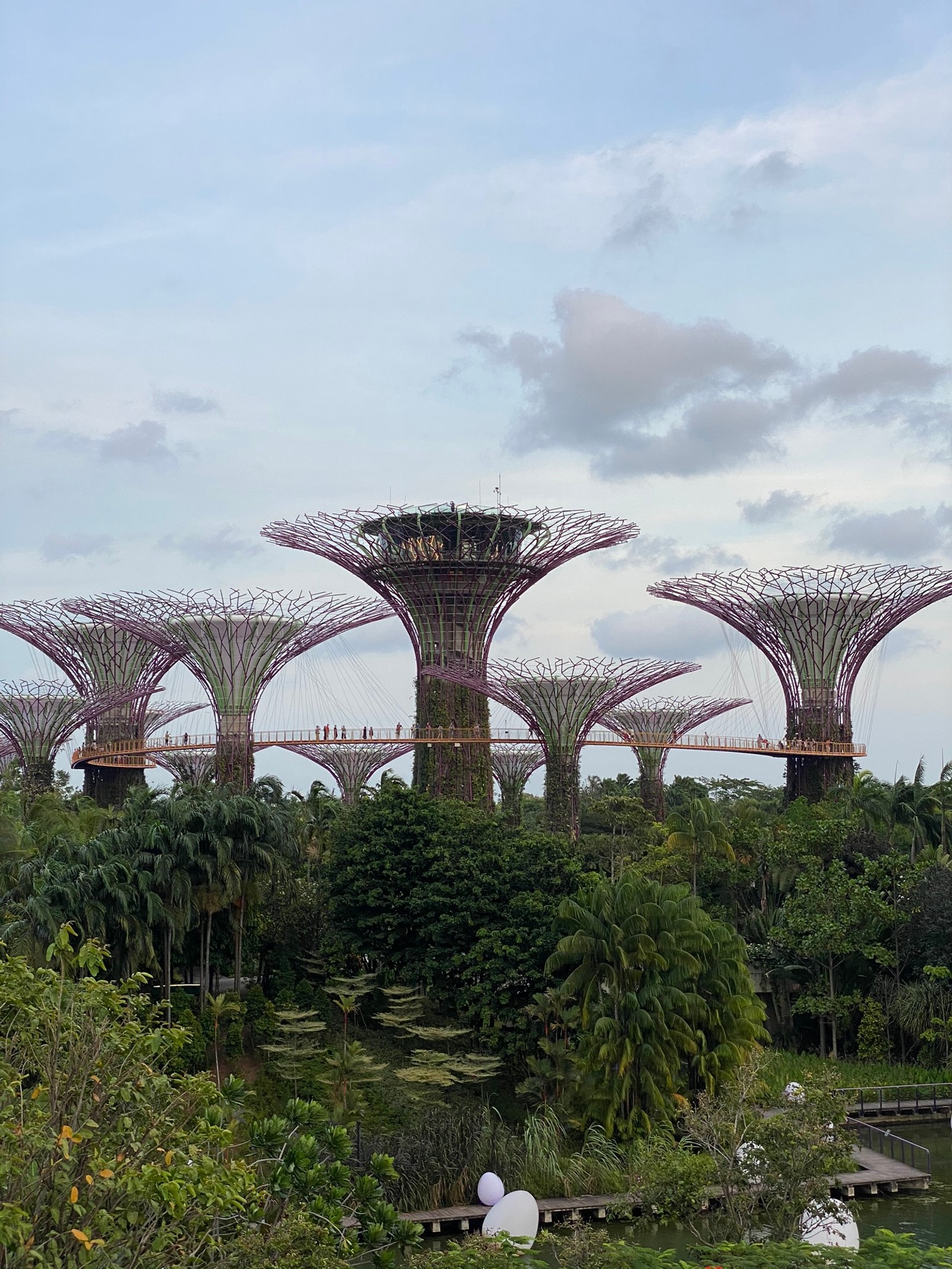 Il y a beaucoup d'arbres qui poussent dans le parc (singapour, jardins de la baie, marina bay sands singapour, parc, jardin)