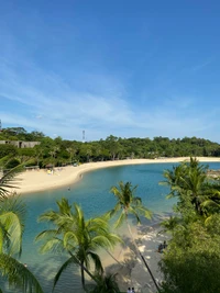 cuerpo de agua, orilla, árbol, costa, océano