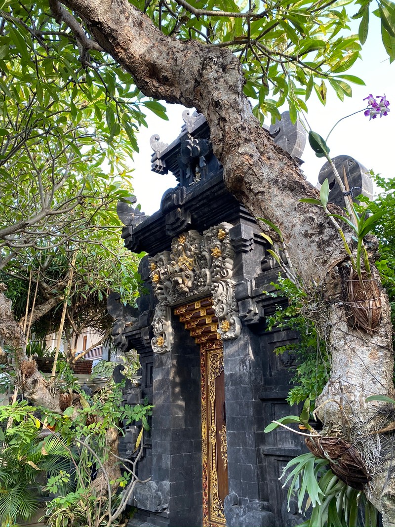 В центре сада стоит статуя человека на столбе (бали, bali, дерево, биология, наука)