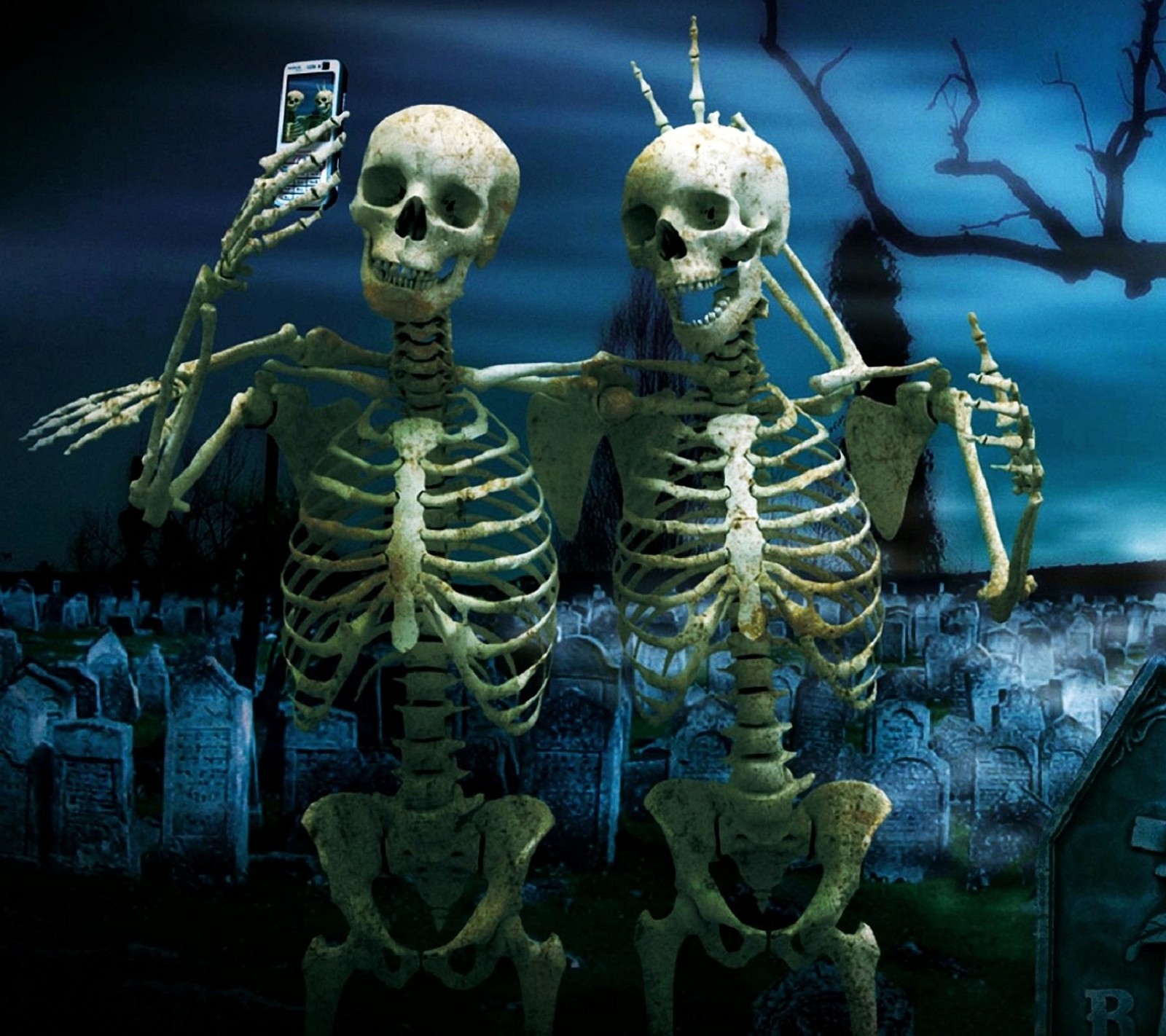 Скачать обои skull friends, skull selfie