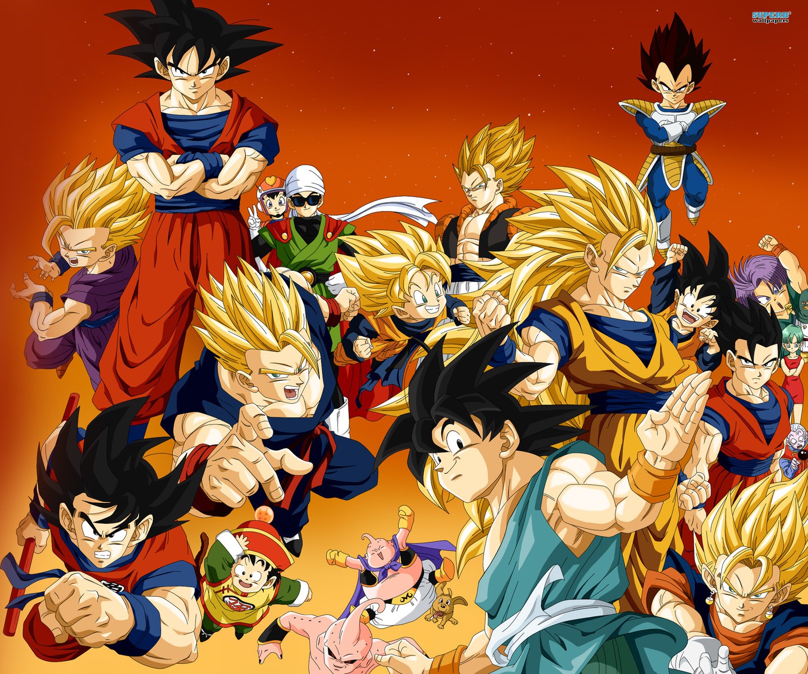 Lade goku, z warriors Hintergrund herunter