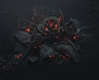 fire, flowers, gothic, rose wallpaper