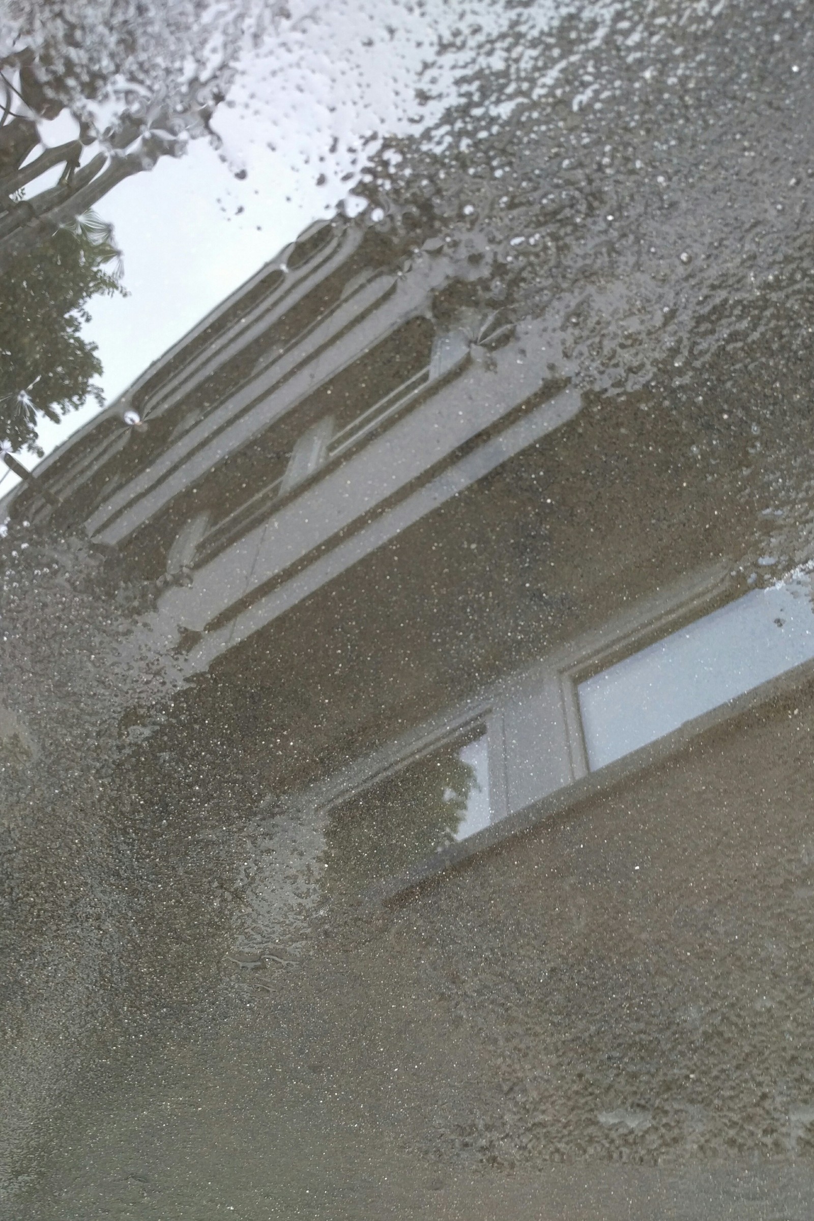 Araffe reflection of a building in a puddle of water (building, grey, puddle, water)