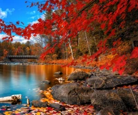 Lebendige Herbstlandschaft am Wasser