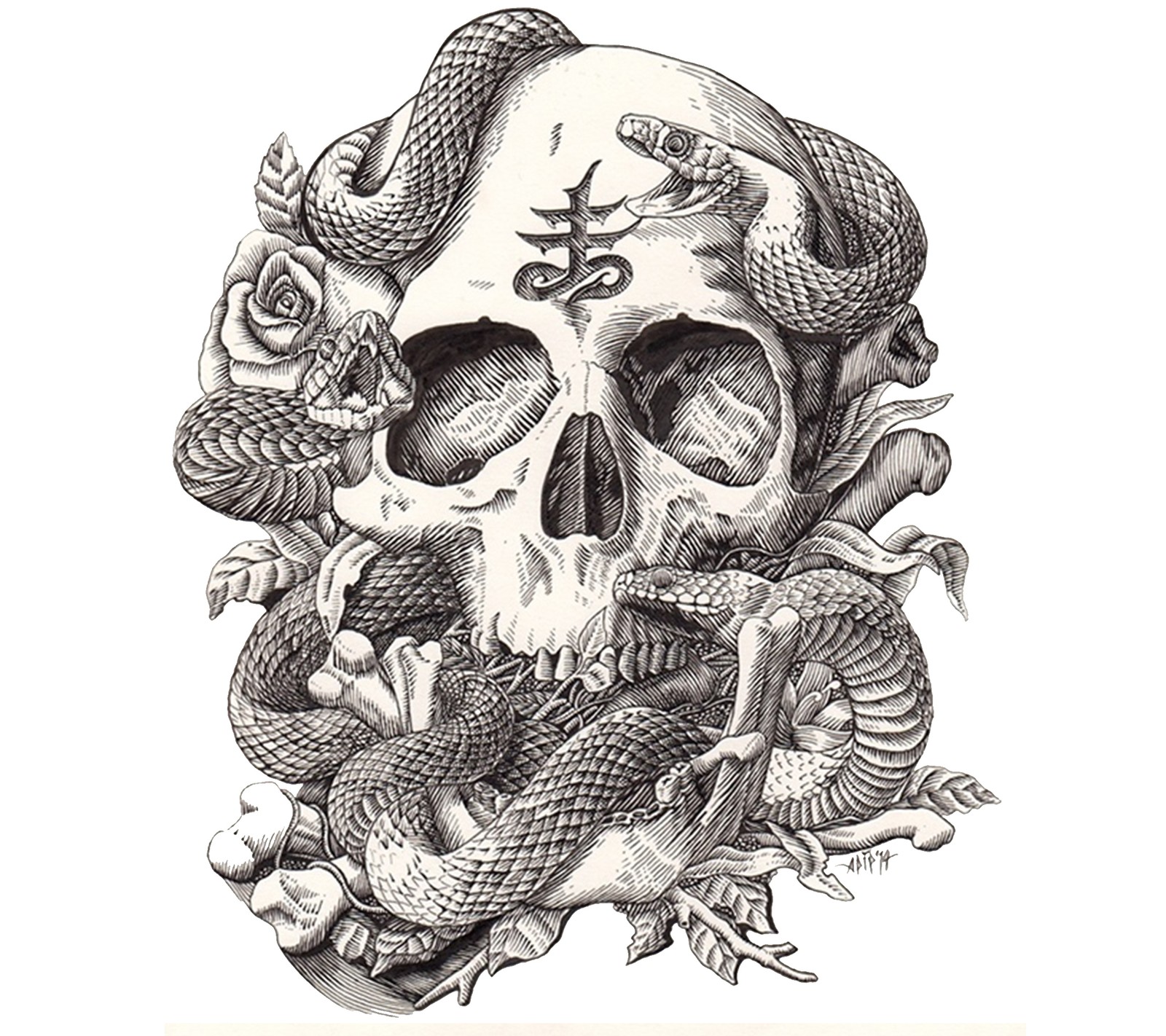 Un dessin d'un crâne avec un serpent dessus (art, calavera, design, roses, crâne)