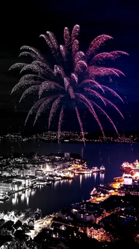 Fuegos artificiales vibrantes dando la bienvenida al Año Nuevo