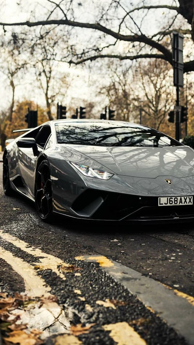 lamborghini, huracan, gris, voiture, supersportive