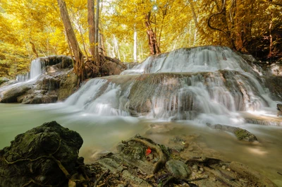 cachoeira, curso dágua, reserva natural, corpo de água, natureza