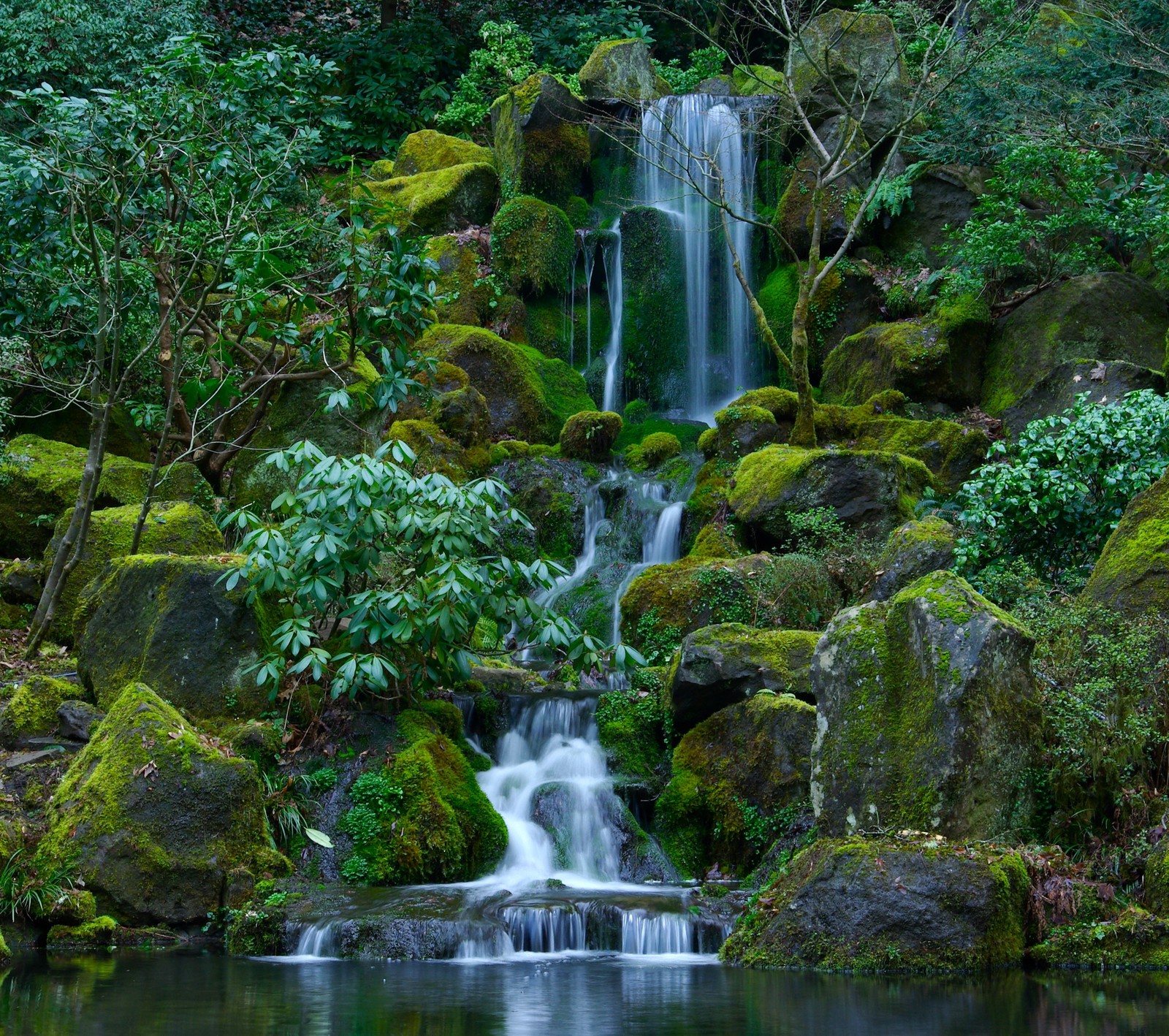 Un primer plano de una cascada en un bosque con rocas y árboles (bosque, lago, paisaje, musgo, naturaleza)