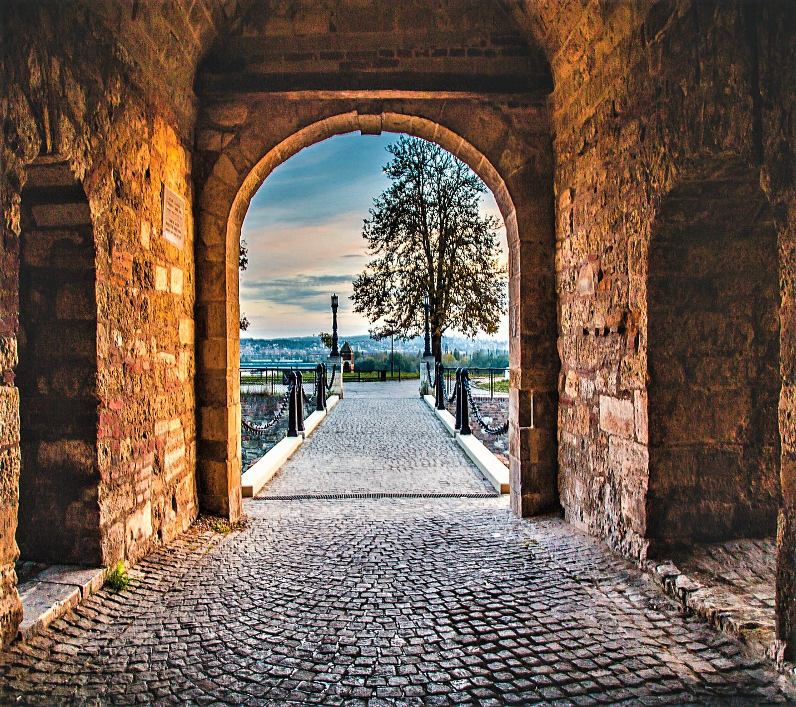 Arco com uma árvore no meio de um caminho de pedra (abej, beograd, fortaleza, kalemegdan)