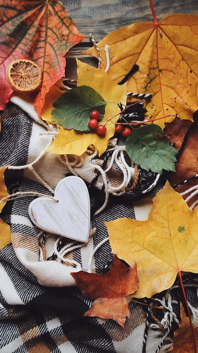 herbst, blätter, herz, liebe