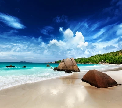 Paradis tropical : plage sereine avec des sables doux et des affleurements rocheux