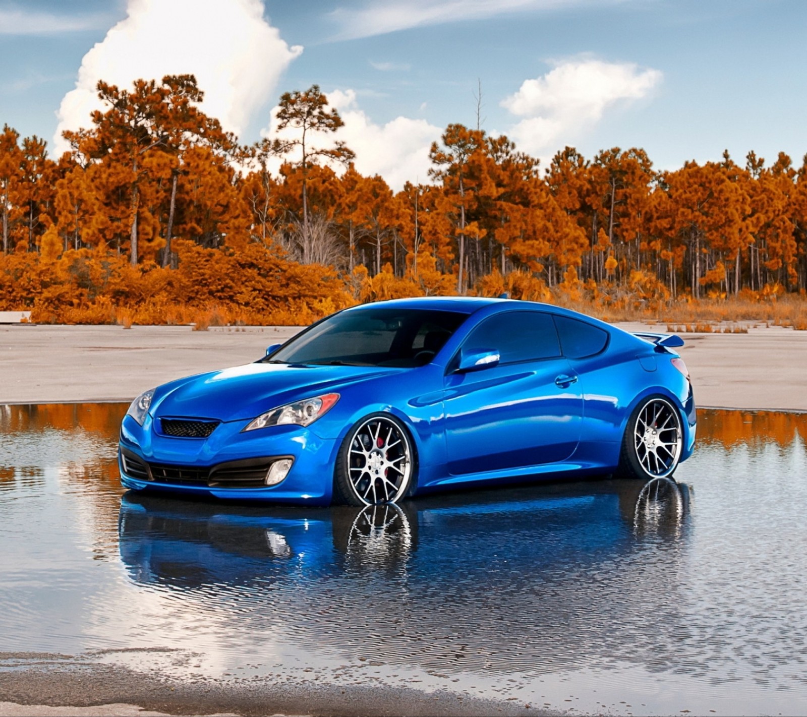 Un coche deportivo azul estacionado en un cuerpo de agua cerca de un bosque (coche, vehículos)