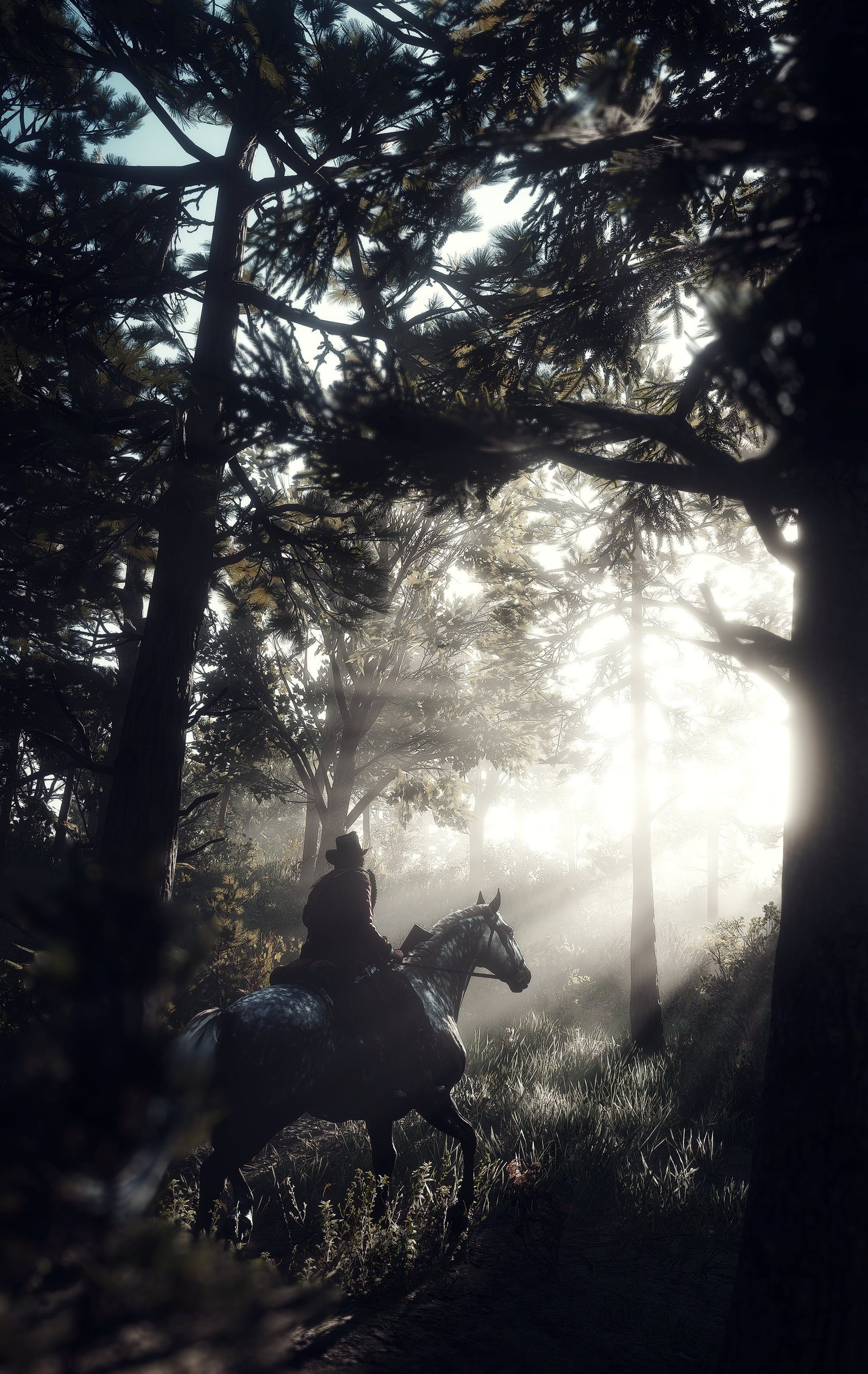 Há um homem montando um cavalo pela floresta em uma trilha (arthur morgan, rdr2, red dead redemption 2)