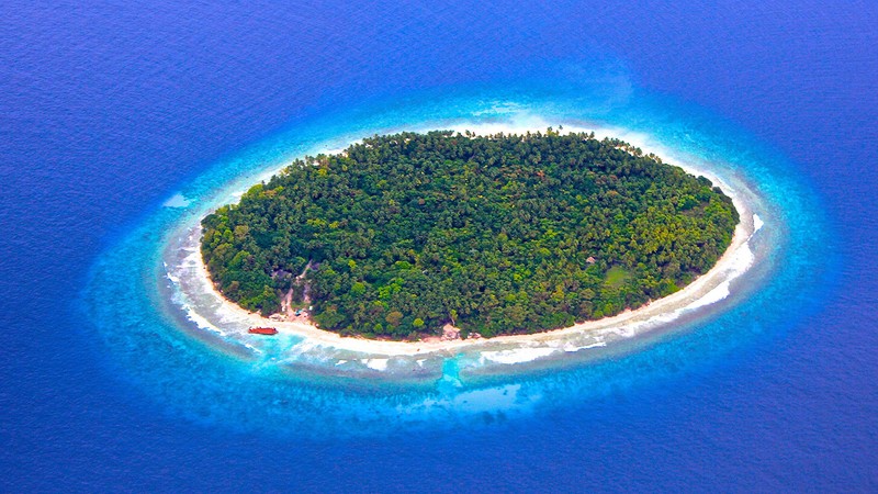 Остров с маленьким белоснежным пляжем и лесом (остров, море, прибрежные и океанические формы рельефа, атолл, островок)