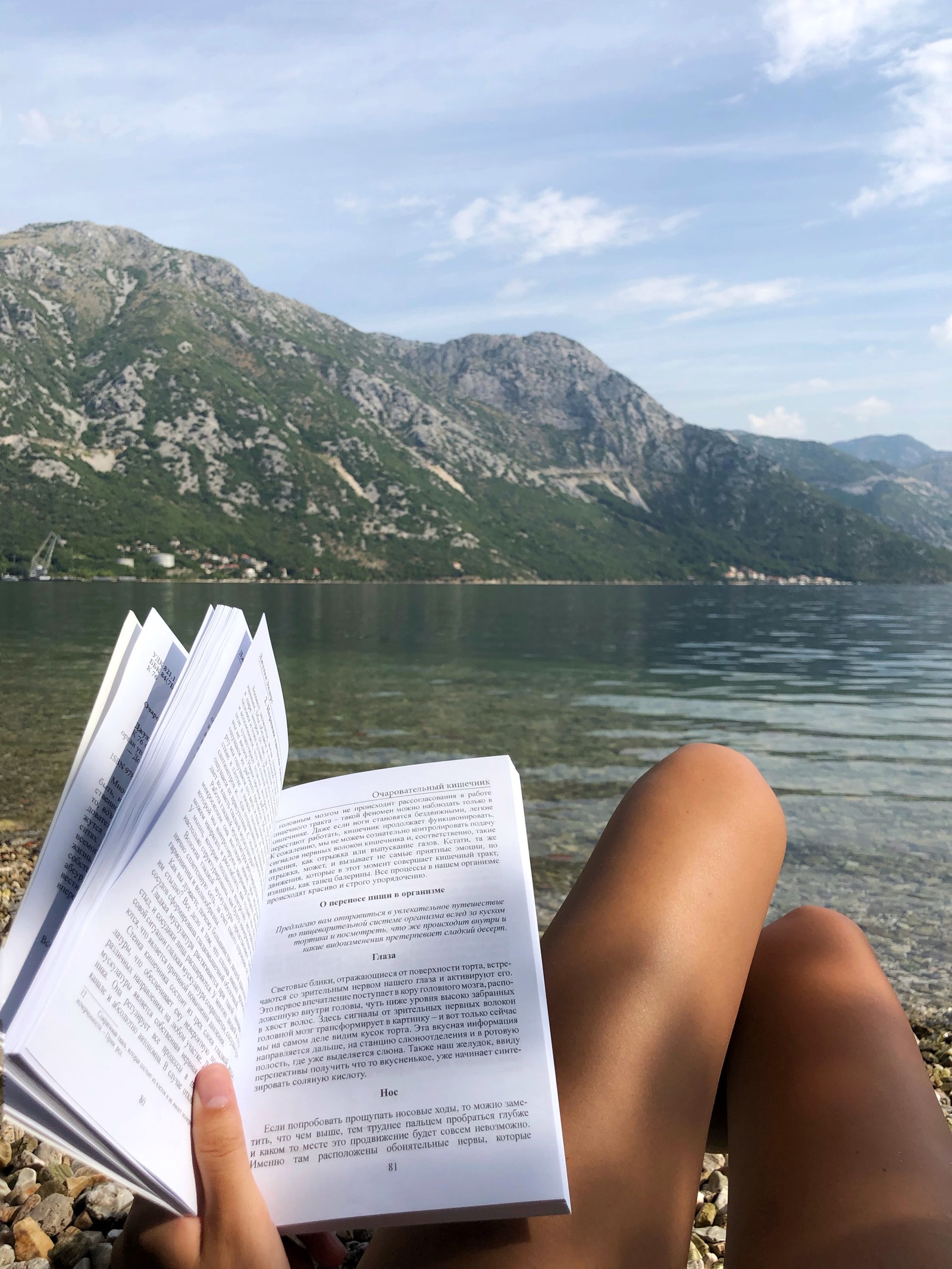 Someone is reading a book on the beach by the water (vacation, travel, fjord, water resources, tourism)